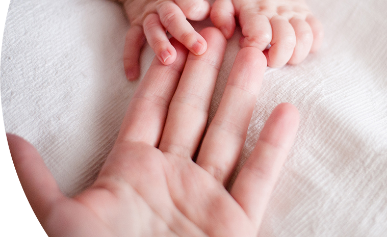 Baby touching adult hand